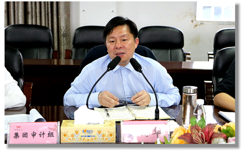 集團(tuán)黨委委員、紀(jì)委書記彭向華強(qiáng)調(diào)審計(jì)整改工作要深挖思想根源(圖2)