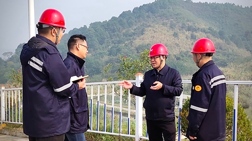 王大真到松滋肥業(yè)、楚星公司、新材料公司和股份公司現(xiàn)場(chǎng)調(diào)研(圖1)