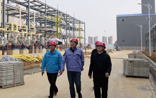 王大真到松滋肥業(yè)、楚星公司、新材料公司和股份公司現(xiàn)場(chǎng)調(diào)研(圖3)