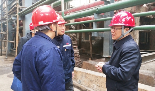 王大真到雙環(huán)公司現(xiàn)場調研并組織召開干部大會