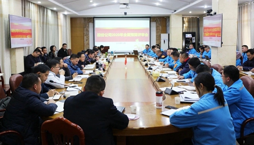 王大真調(diào)研指導股份公司、化機公司和TMP新項目2020年財務預算工作