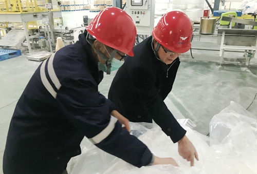 王大真到新材料公司、TPO項目現(xiàn)場和股份公司檢查工作